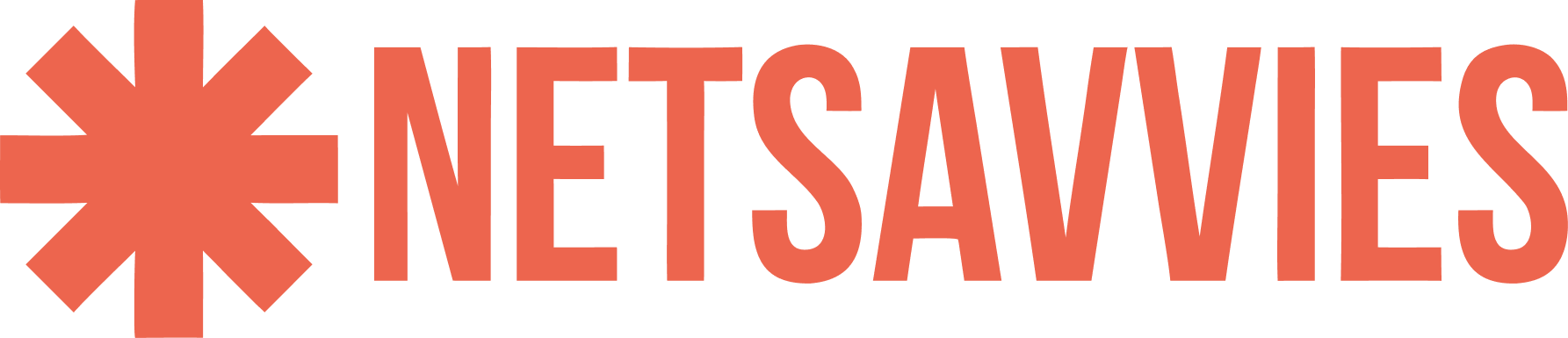 Netsavvies Media Co.